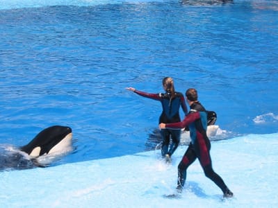 SeaWorld San Diego, Foto 055