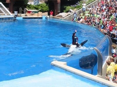 SeaWorld San Diego, Foto 057