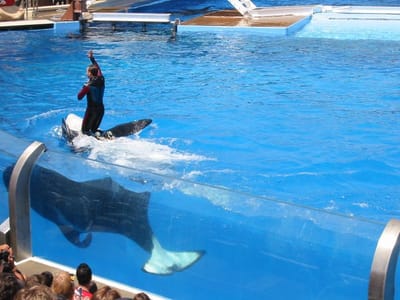 SeaWorld San Diego, Foto 058
