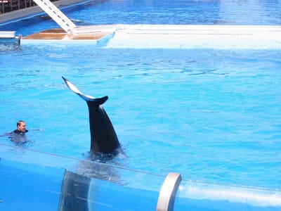 SeaWorld San Diego, Foto 059