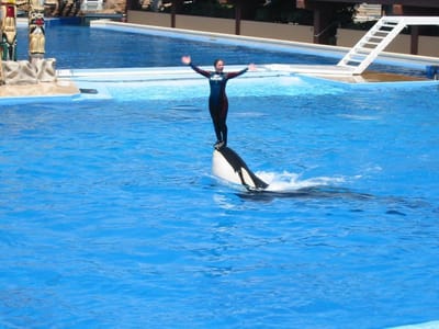 SeaWorld San Diego, Foto 060