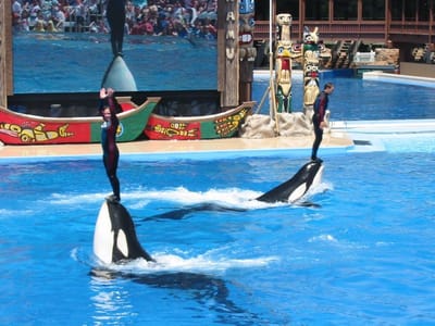 SeaWorld San Diego, Foto 061