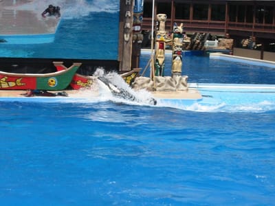 SeaWorld San Diego, Foto 062