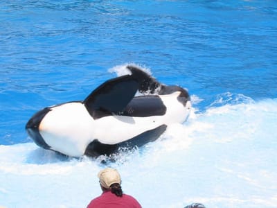 SeaWorld San Diego, Foto 063