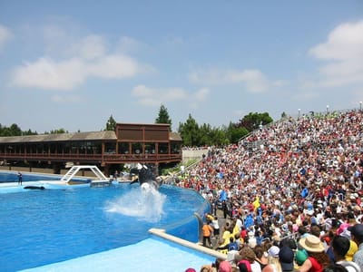 SeaWorld San Diego, Foto 065