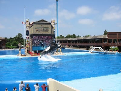 SeaWorld San Diego, Foto 066