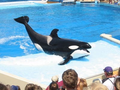 SeaWorld San Diego, Foto 067