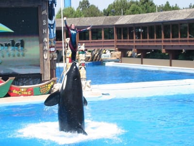 SeaWorld San Diego, Foto 068