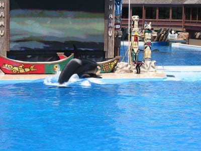 SeaWorld San Diego, Foto 070