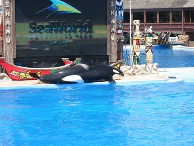 SeaWorld San Diego, Foto 071
