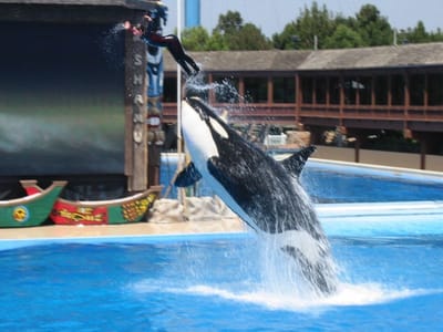 SeaWorld San Diego, Foto 072