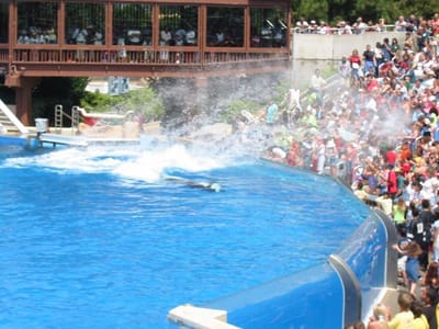 SeaWorld San Diego, Foto 074