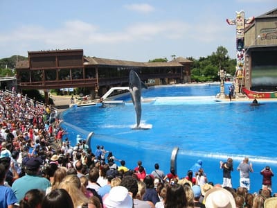 SeaWorld San Diego, Foto 076