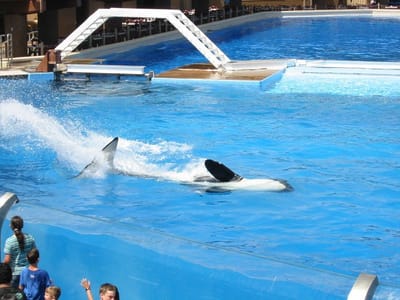 SeaWorld San Diego, Foto 077