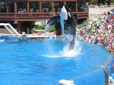 SeaWorld San Diego, Foto 078