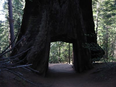 Yosemite, Foto 054