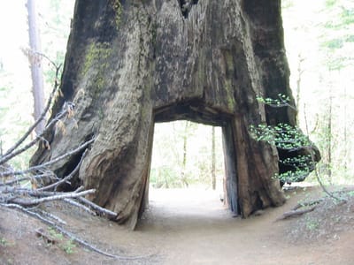 Yosemite, Foto 055