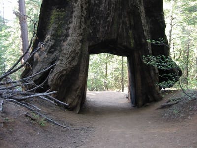 Yosemite, Foto 056