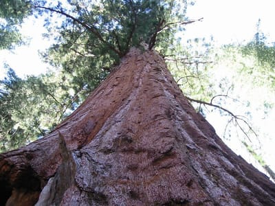 Yosemite, Foto 059