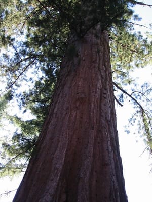 Yosemite, Foto 060